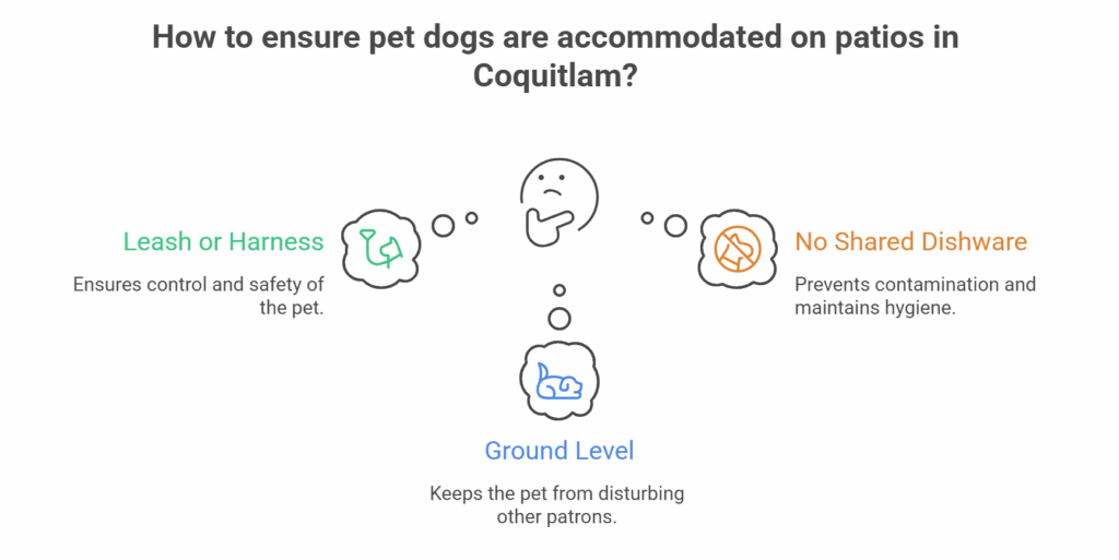 How to Ensure Pet Dogs Are Accommodated On Patios In Coquitlam
