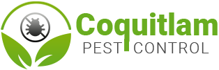 6443ff55dcc5dc3adb6aaac8 Coquitlam Pest Control