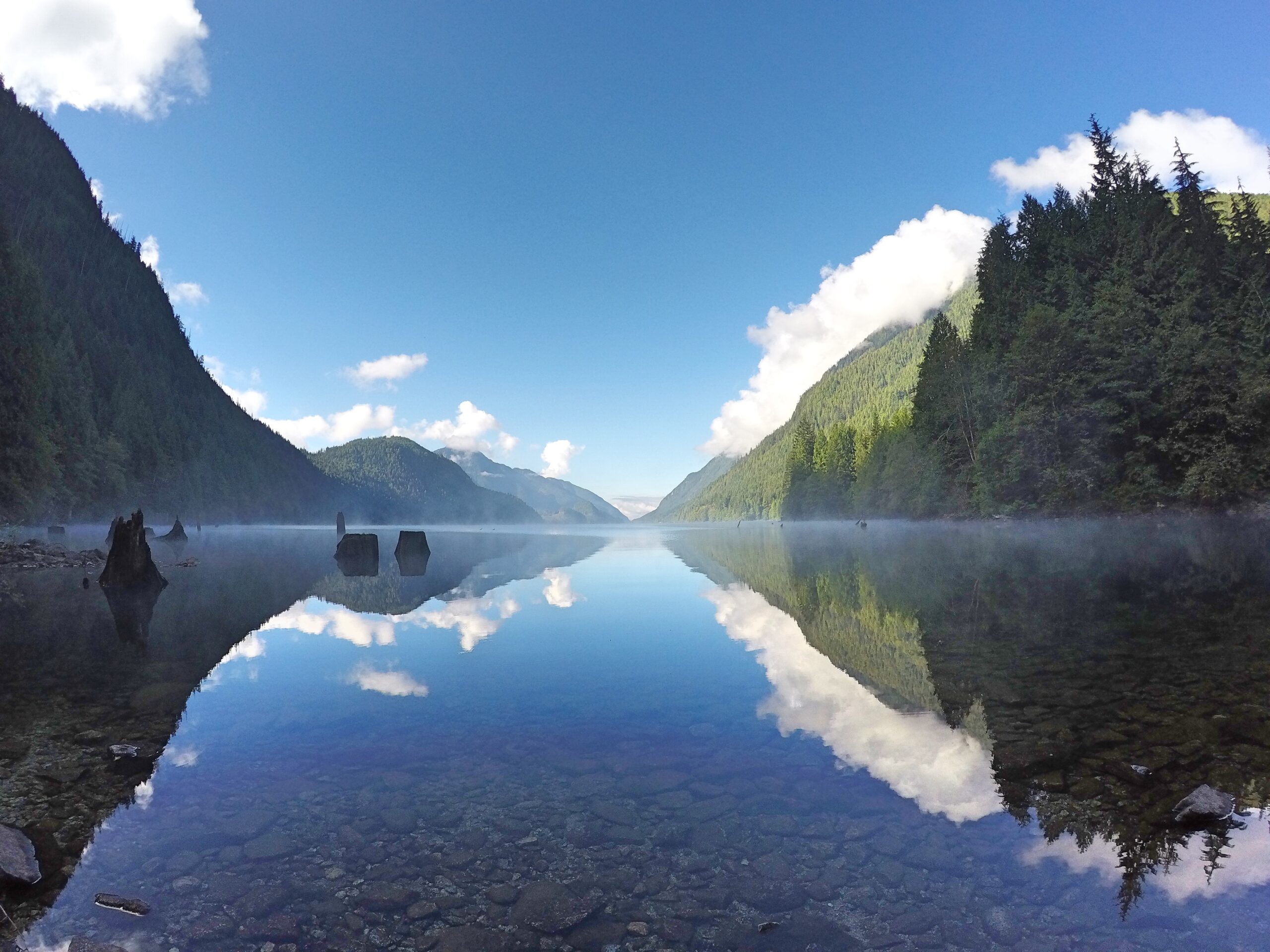 Golden Ears Park Maple Ridge BC scaled 1 Montia Restoration Ltd
