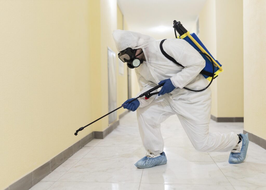 Topline pest control 3 1 1024x732 1 Top Line Pest Control - Port Coquitlam