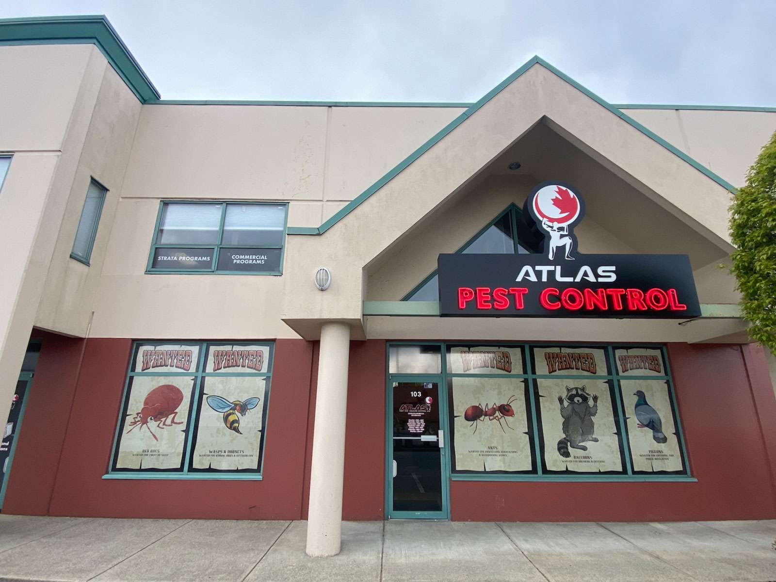 atlas home 04 18 2022 Atlas Pest And Wildlife Control Ltd