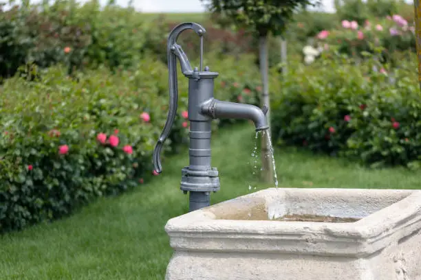 Water is being pumped from a vintage hand pump into a stone basin, in a garden setting in Coquitlam BC.