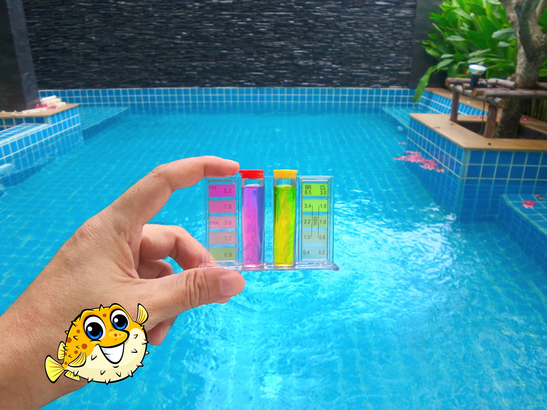 A hand holds a pool water testing kit, with a cartoon pufferfish next to it, in front of a blue tiled pool in Coquitlam BC.