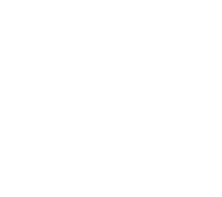 profile logo Robinson Roof Solutions