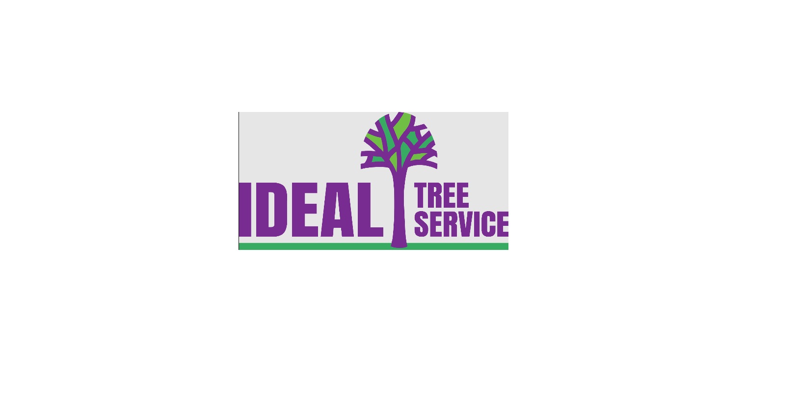 Ideal Tree Service Rent A Bin