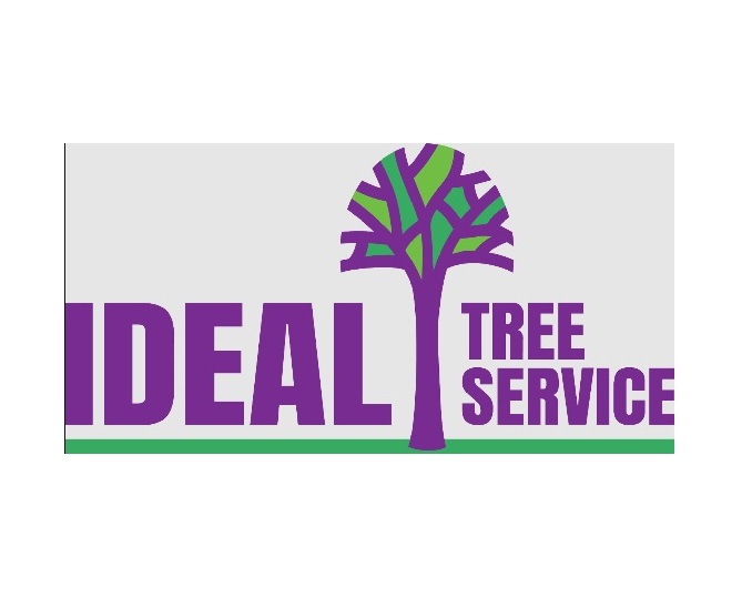 Ideal Logo Ideal Tree Service