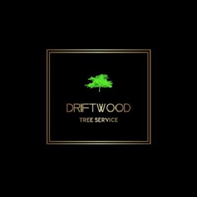Driftwood Tree Service Logo Copy Driftwood Tree Service
