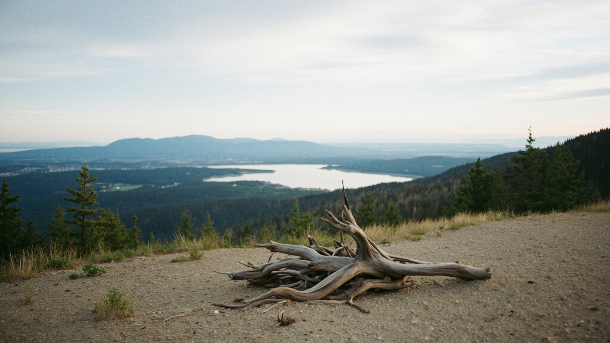 Burke Mountain Trails: Coquitlam Hiking Guide