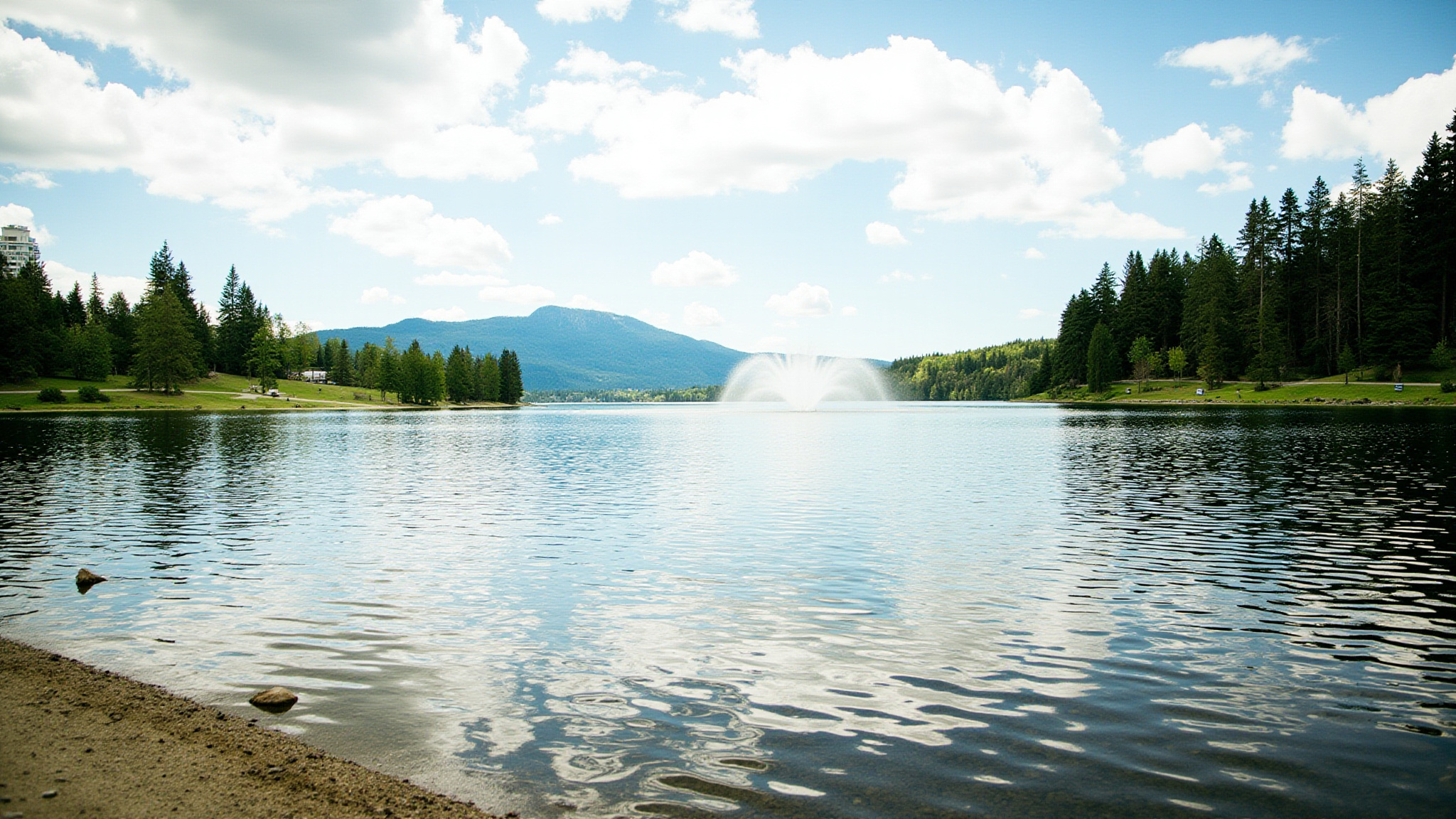 Lafarge Lake at Town Centre Park Coquitlam with ducks on calm water and green trees reflecting in the lake