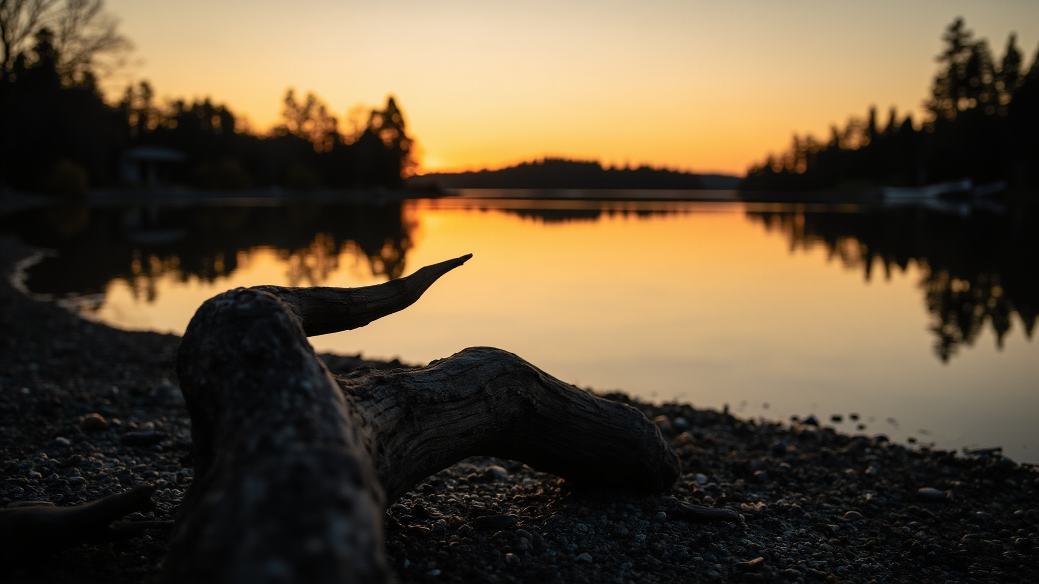 Seasonal Events at Lafarge Lake