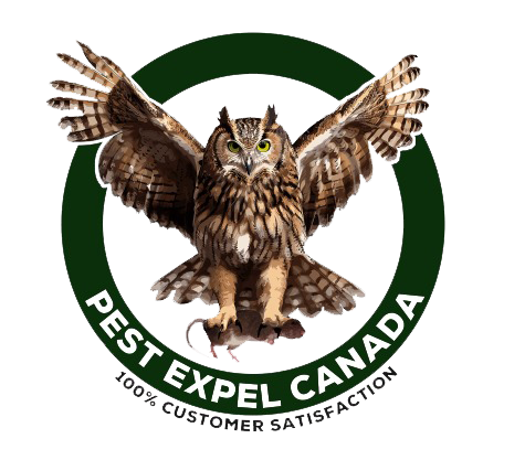 2 2 1 Pest Control Woodbridge: Protecting Your Property with Trusted Solutions