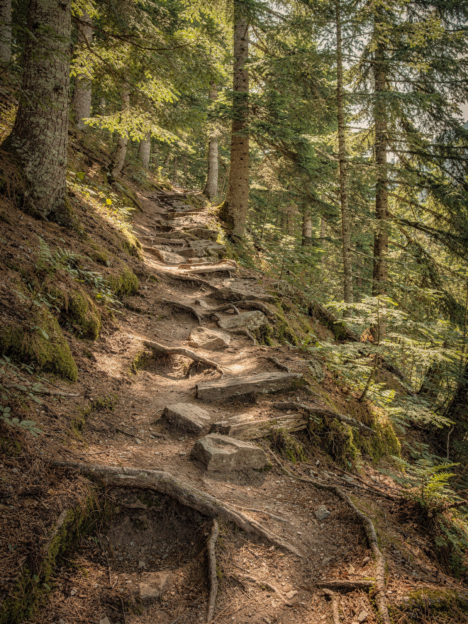 The Main Trails: Difficulty and What to Expect