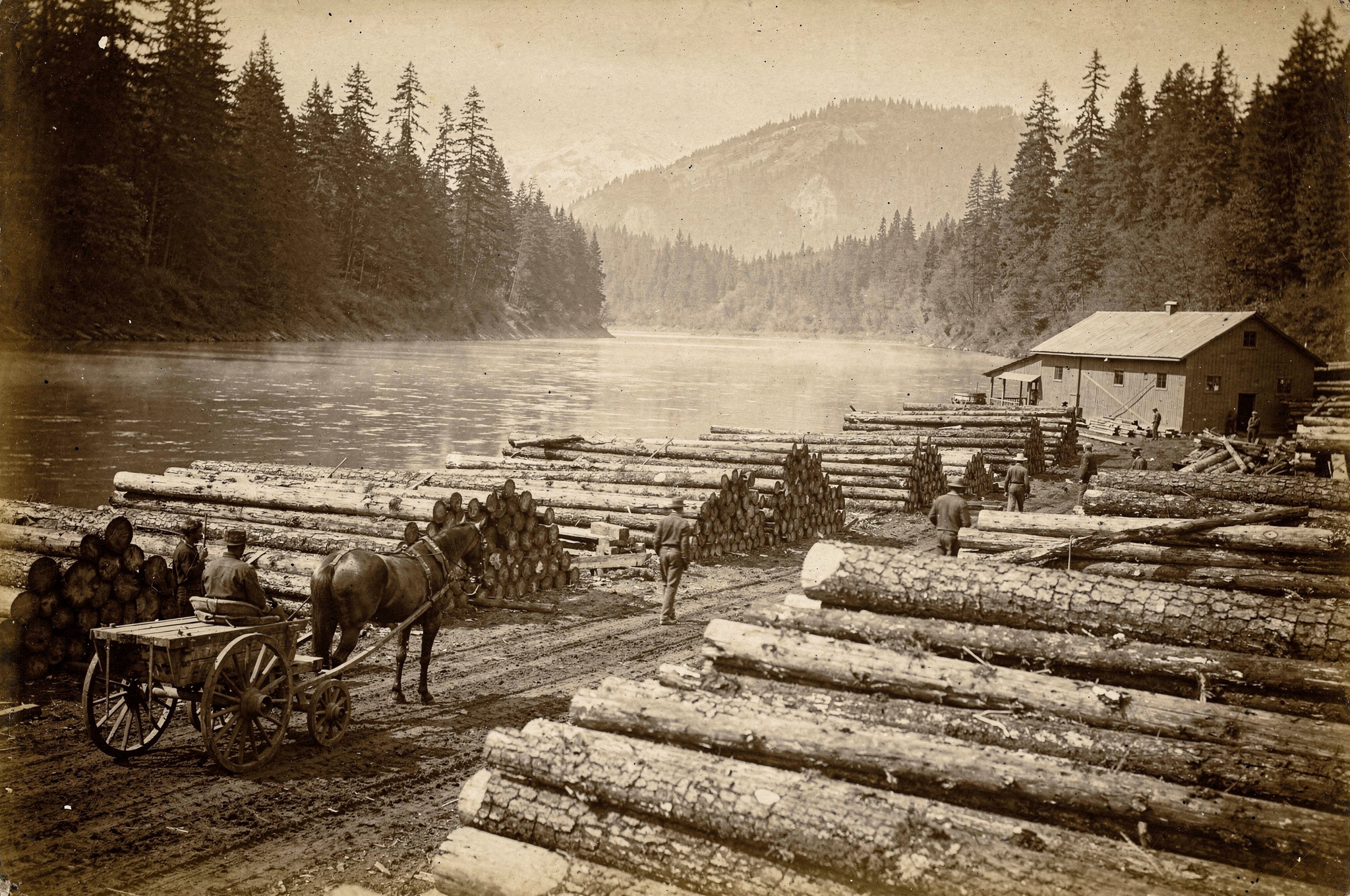 sepia toned vintage photograph of a Pacific Northwest lumber mill riverbank yard with log stacks and a horse drawn wagon