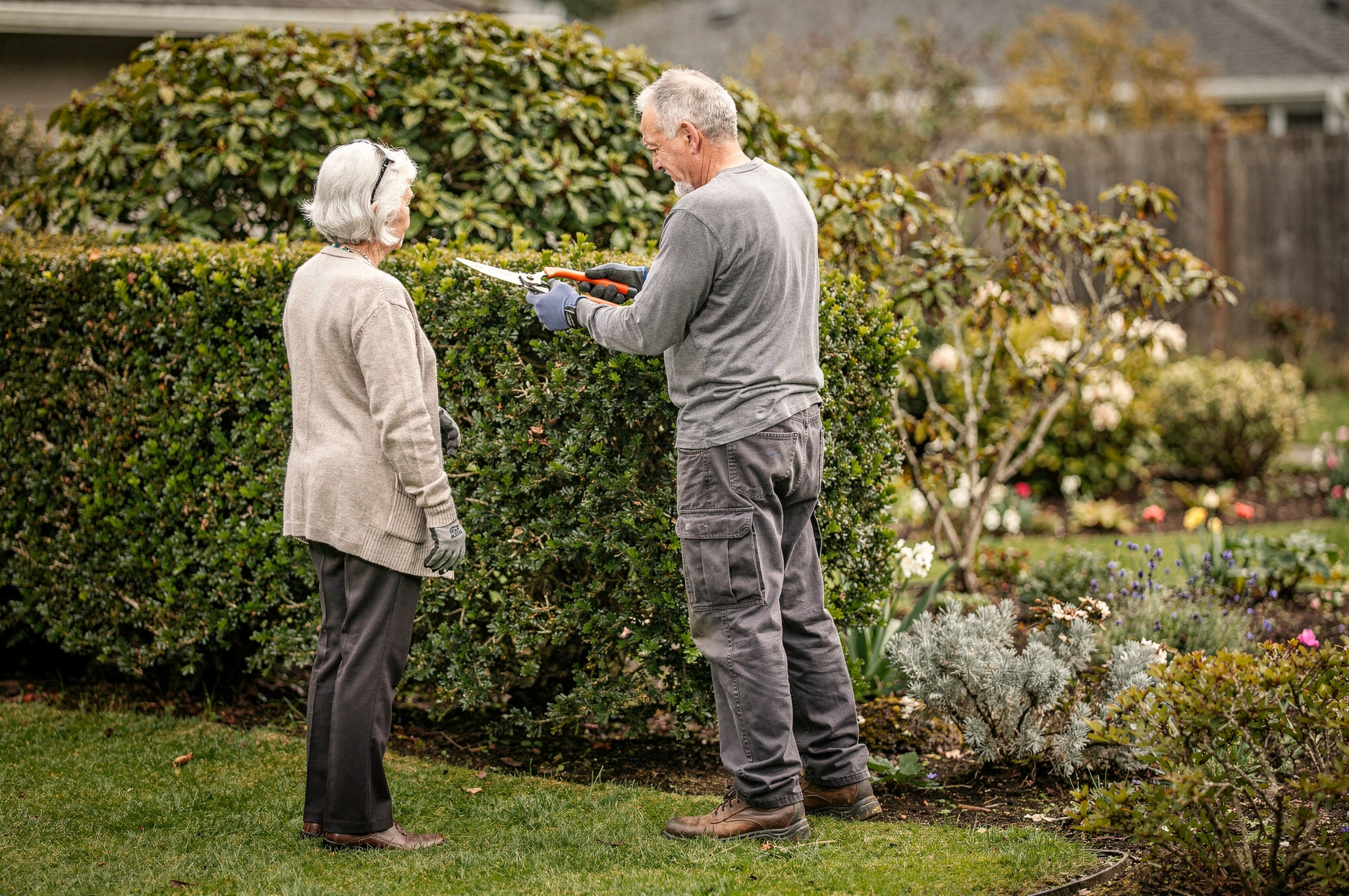 elderly woman and landscaper viewed from behind and side during hedge trimming service | GPS: 49.287388, -122.789156