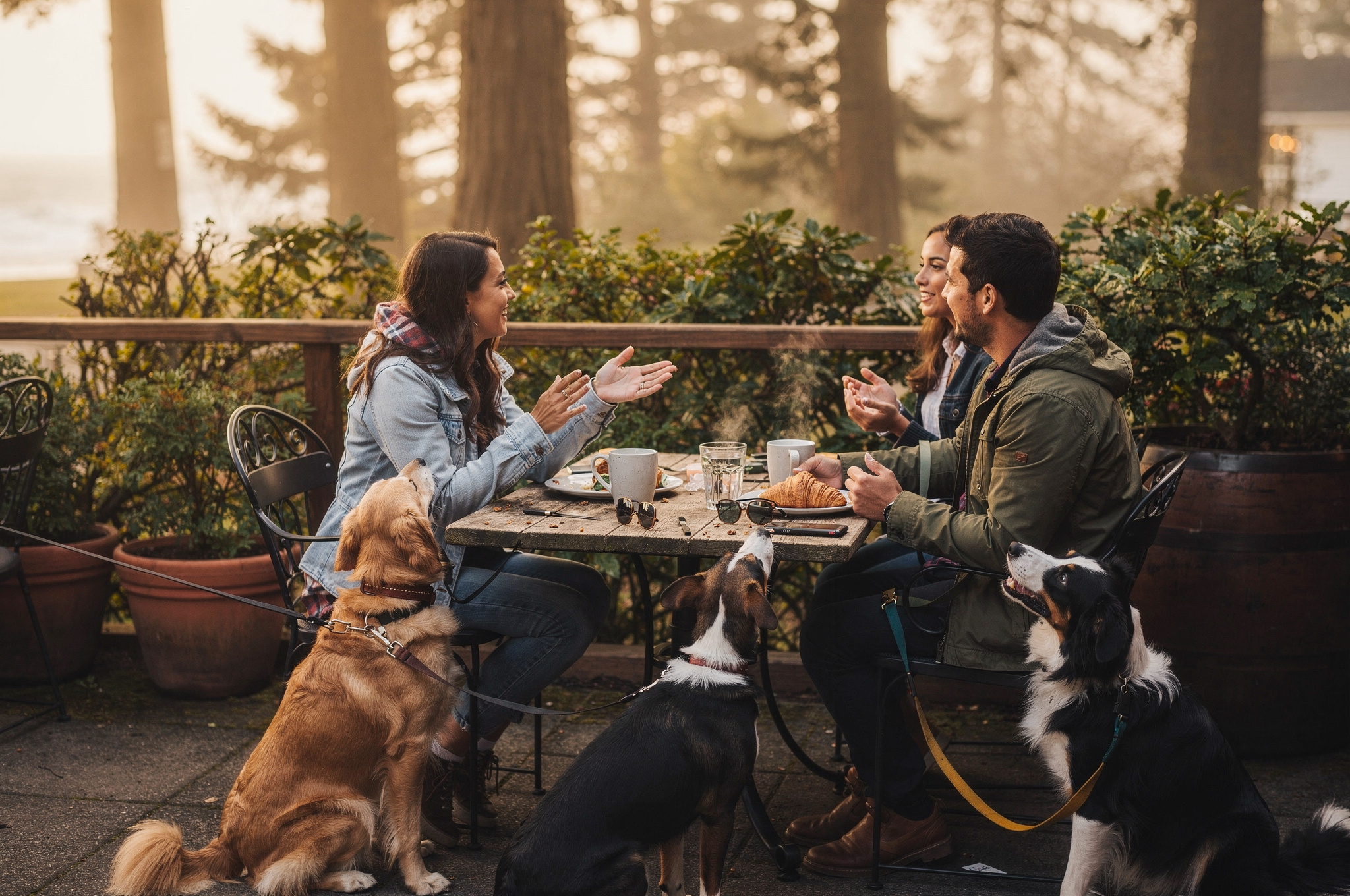 friends enjoying coffee with local dogs and baked goods v2 Where To Eat With Your Dog In Coquitlam BC friends enjoying coffee with local dogs and baked goods | GPS: 49.375484, -122.654106