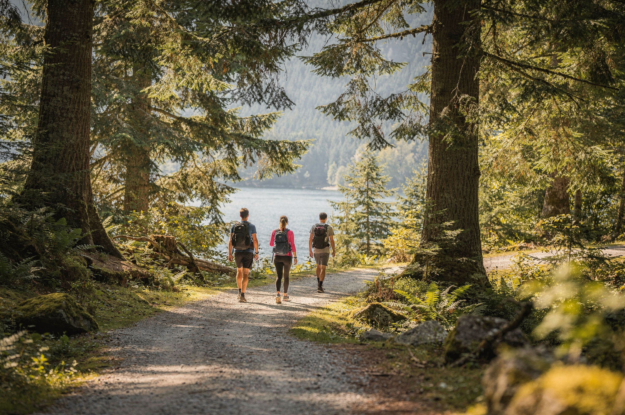 friends hiking in the mountains local nature scene v2 Your Guide to Free Outdoor Fitness Trails in Coquitlam BC hikers walking away on a forested trail beside a lake in Coquitlam