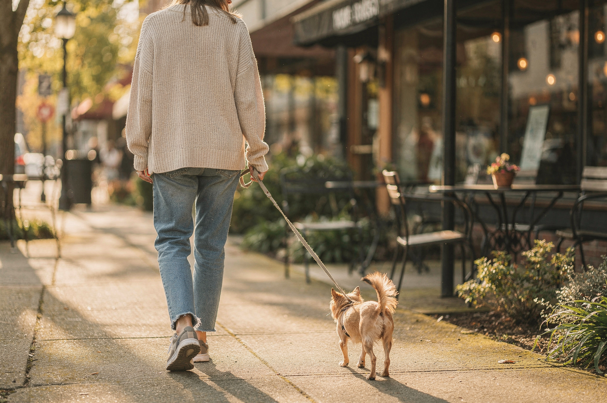 person walking dog outside cafe seen from behind