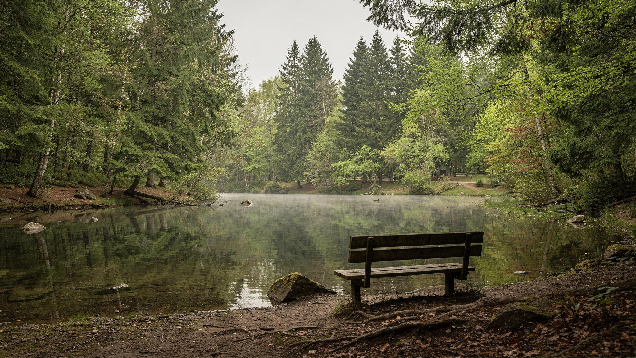 mundy park coquitlam lake bench Mundy Park Coquitlam: Complete Visitor Guide Mundy Park Coquitlam: Complete Visitor Guide