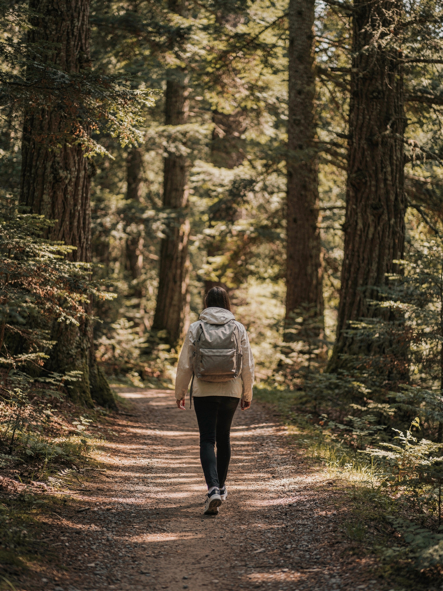 mundy park coquitlam trail walker Mundy Park Coquitlam: Complete Visitor Guide Trails Through the Forest