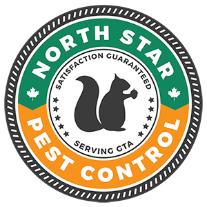 north star logo small 1 Wasp Removal Richmond Hill: Safe and Reliable Protection for Your Property
