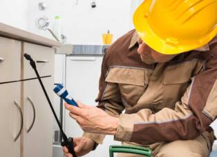 service 2 1 314x228 1 Pest Control Company in London Ontario – Trusted Local Experts at MVO Pest Control