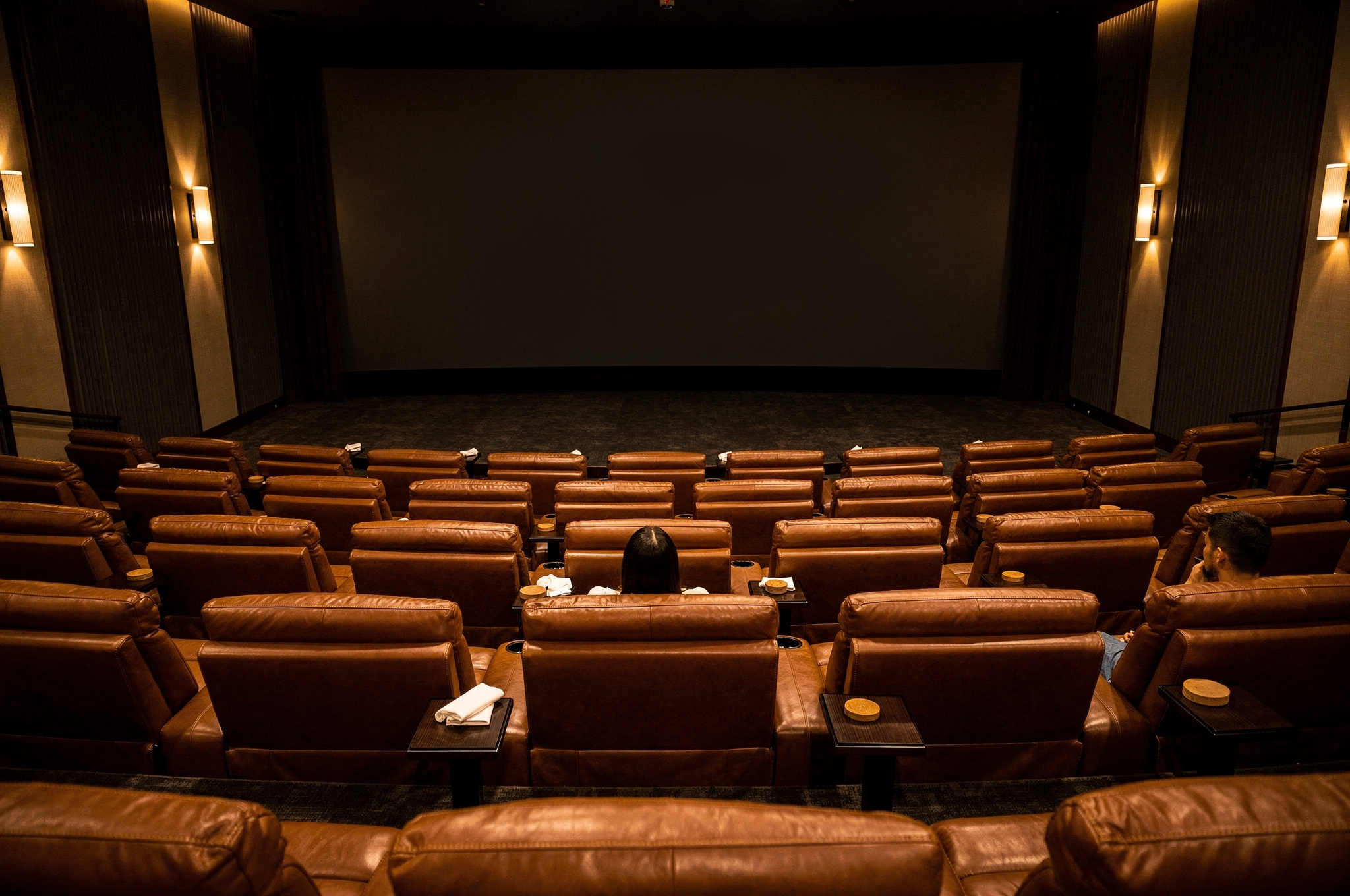 vip cinema seating coquitlam v2 What to do in Coquitlam BC On A Rainy Day vip cinema seating coquitlam | GPS: 49.381193, -122.645353