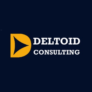 logo 1 Deltoid Consulting Inc.
